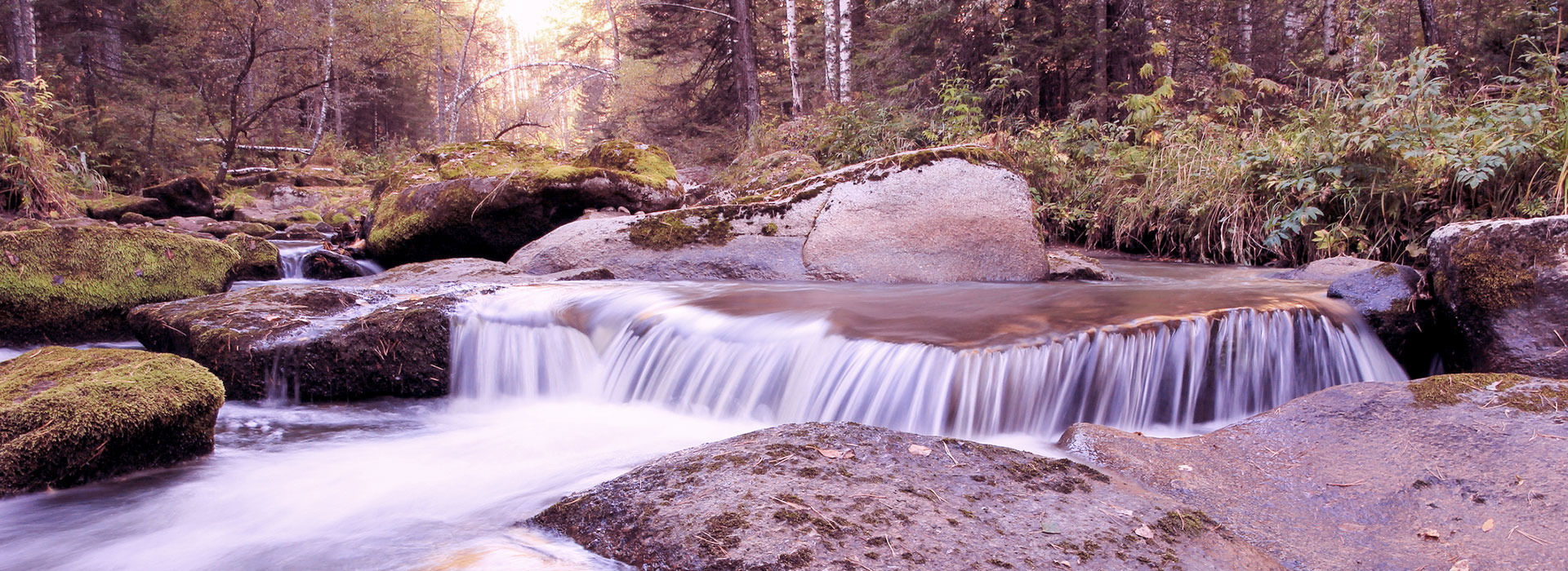 Biodynamische Osteopathie